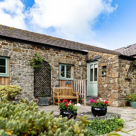 Cwm Connell Coastal Cottages Moylgrove 외부 사진