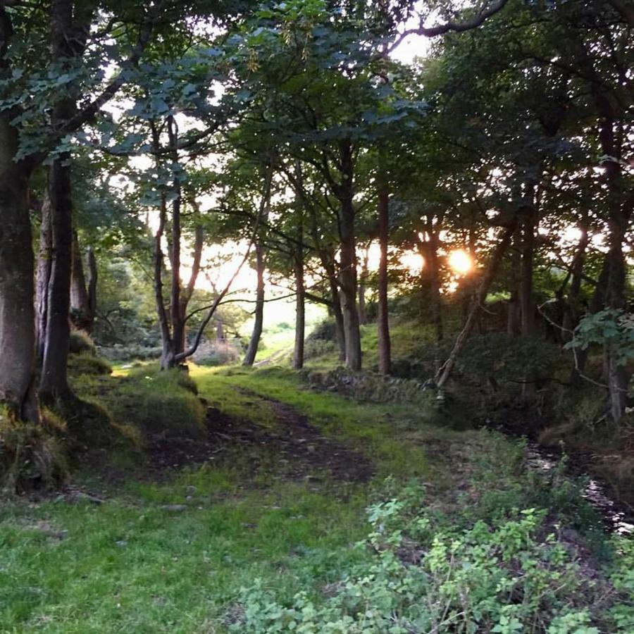 Cwm Connell Coastal Cottages Moylgrove 외부 사진