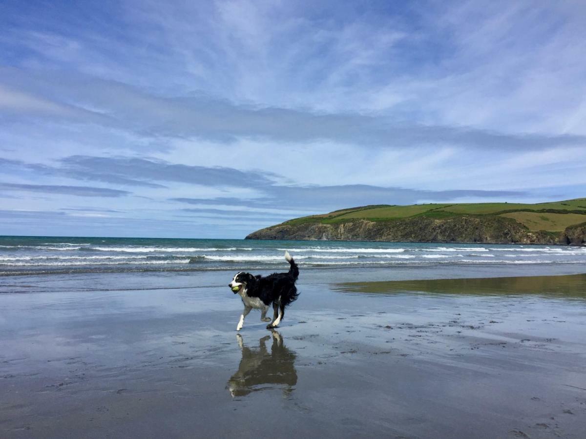Cwm Connell Coastal Cottages Moylgrove 외부 사진